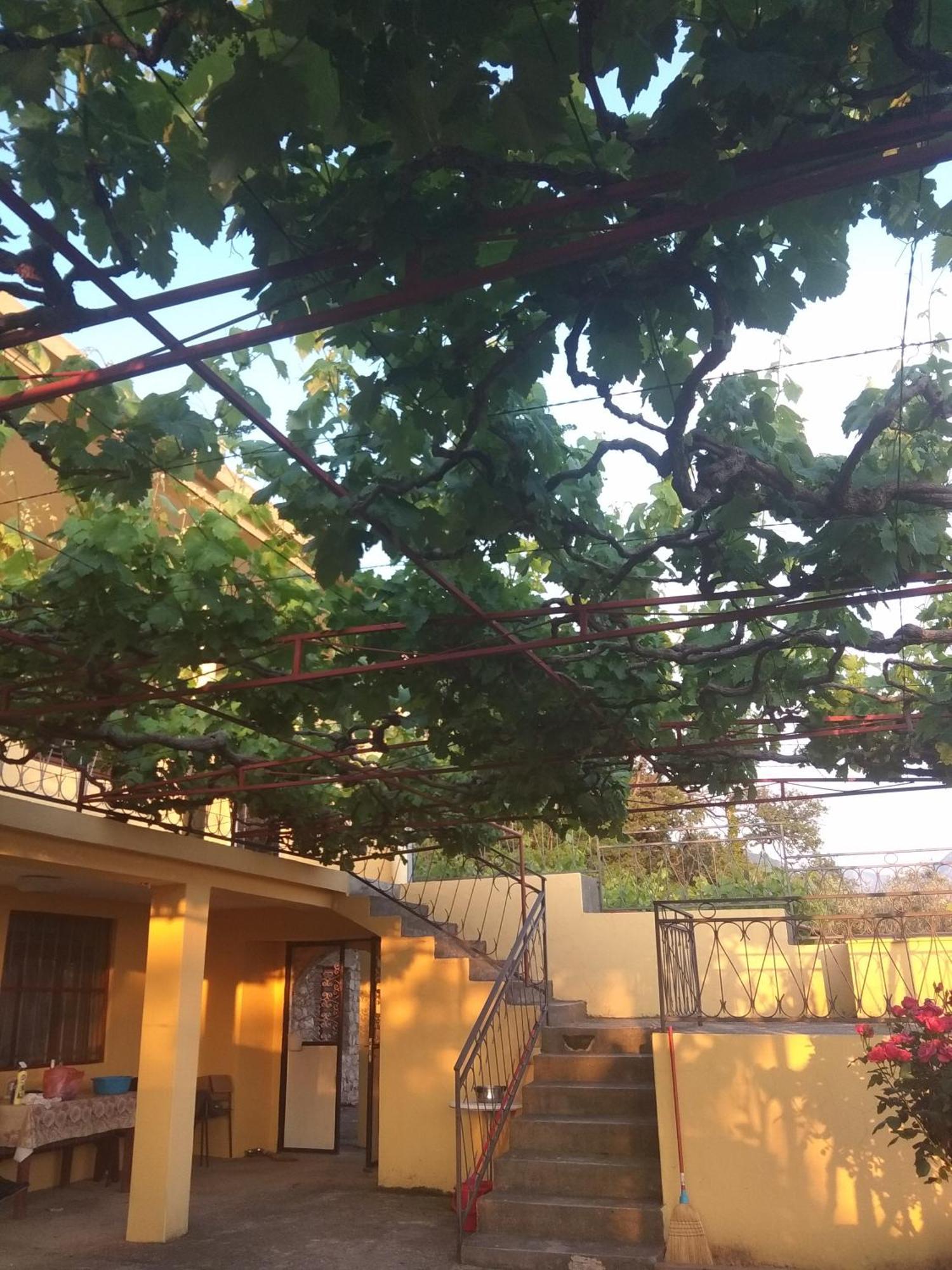 Apartman "Marko" Bar Exterior photo